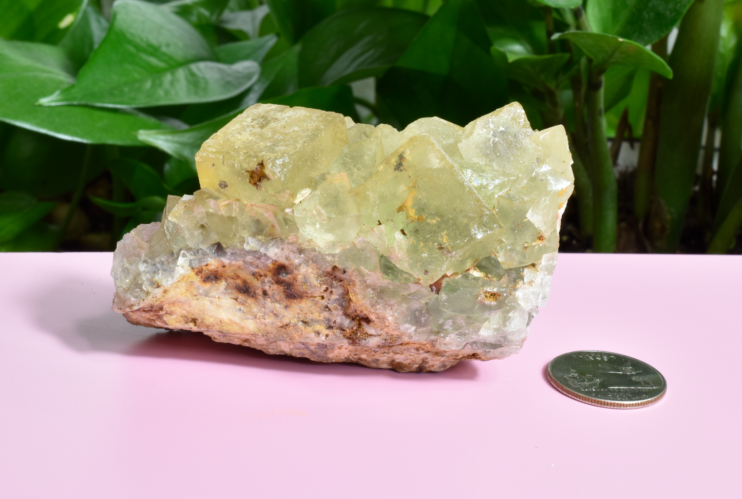 Illinois Yellow Fluorite - A