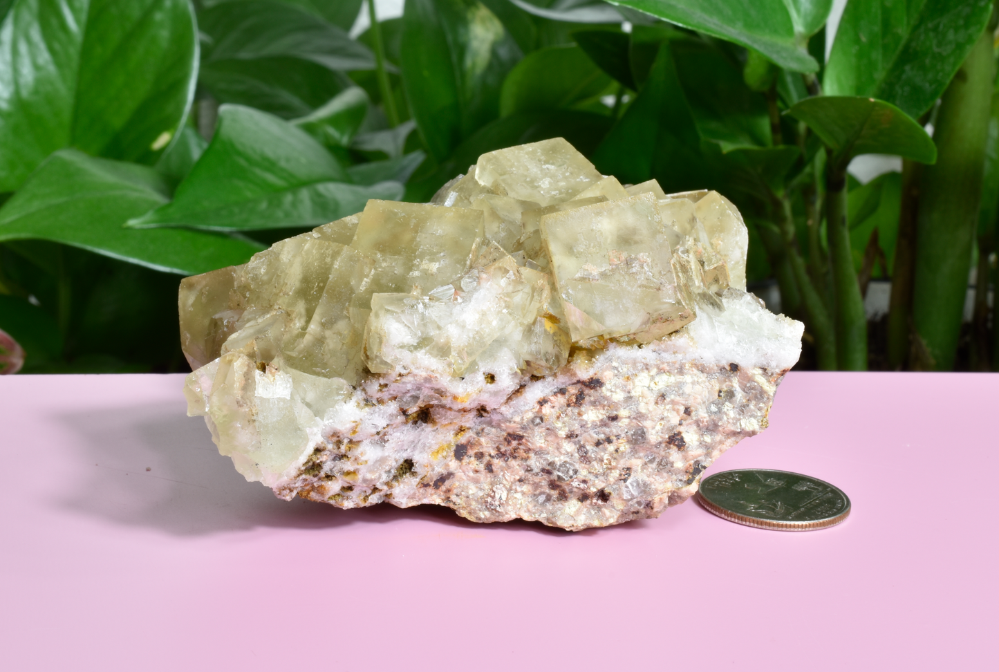 Illinois Yellow Fluorite - D