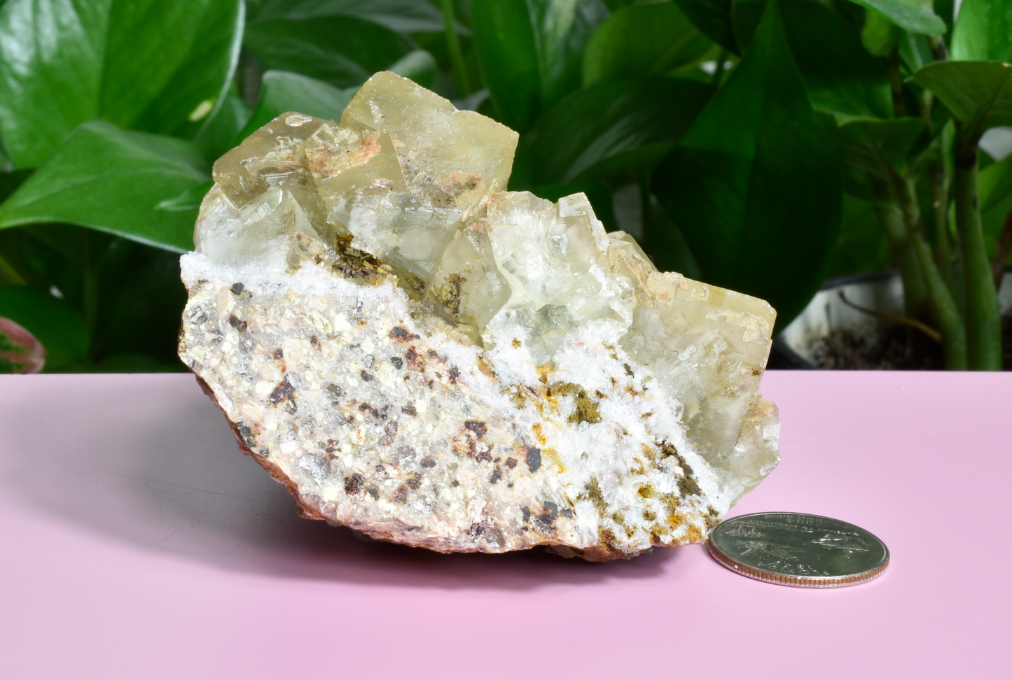 Illinois Yellow Fluorite - F