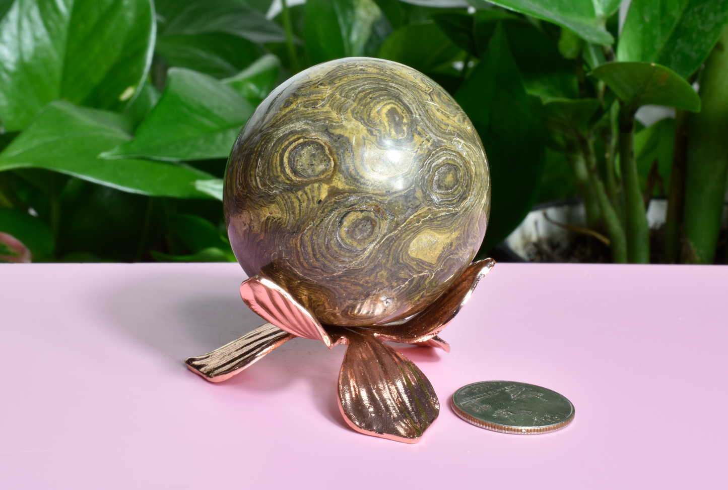 3.4 Billion Years Old Stromatolite Sphere - A