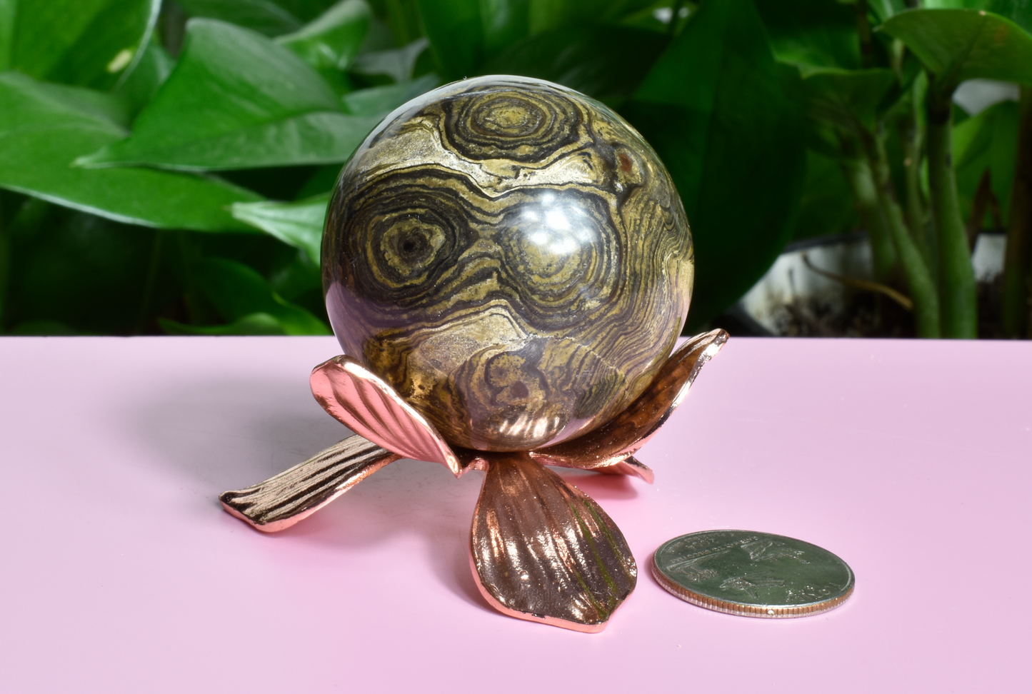 3.4 Billion Years Old Stromatolite Sphere - B
