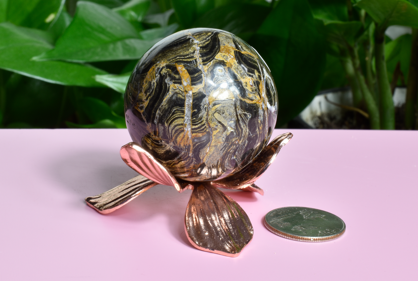 3.4 Billion Years Old Stromatolite Sphere - C
