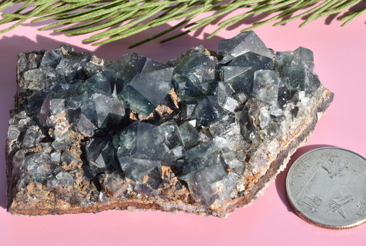 Hidden Forest Pocket English Fluorite - A