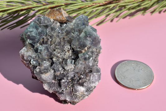 Hidden Forest Pocket English Fluorite - B