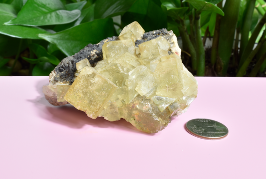 Illinois Yellow Fluorite - A