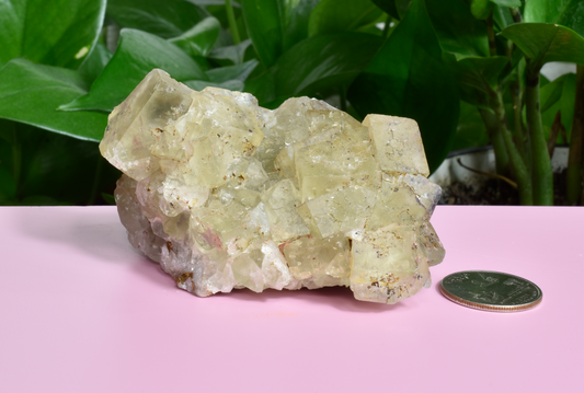 Illinois Yellow Fluorite - C