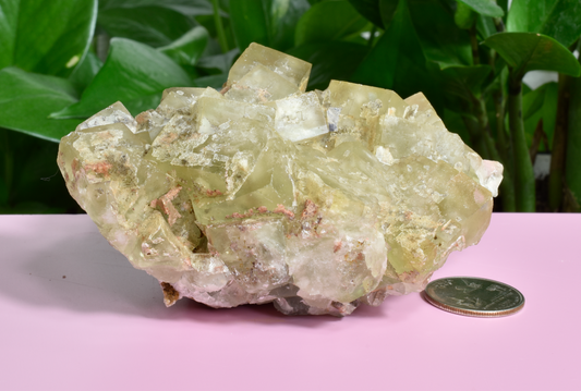 Illinois Yellow Fluorite - D