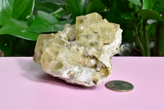 Illinois Yellow Fluorite - F