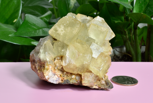 Illinois Yellow Fluorite - E