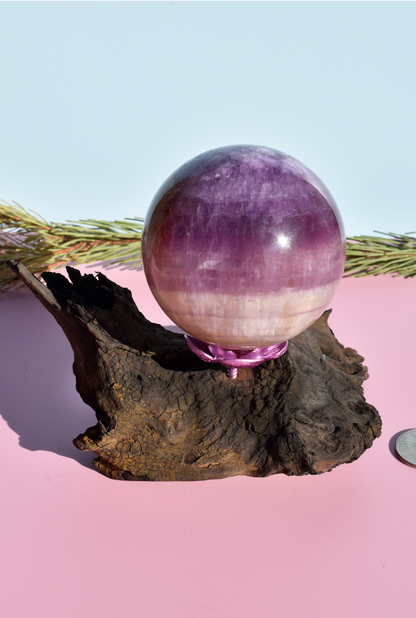Sphere Holder - Driftwood with Purple Flower