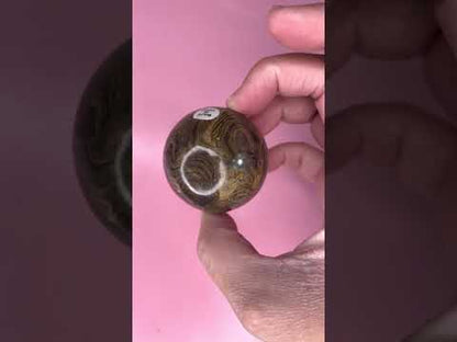 3.4 Billion Years Old Stromatolite Sphere - B